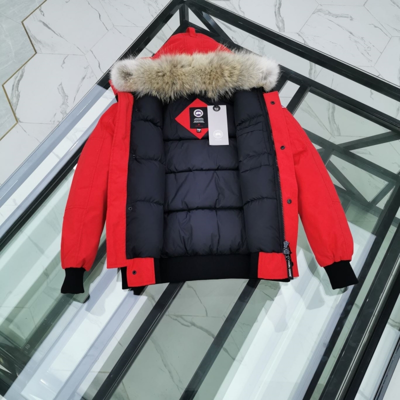 Moncler Down Coat